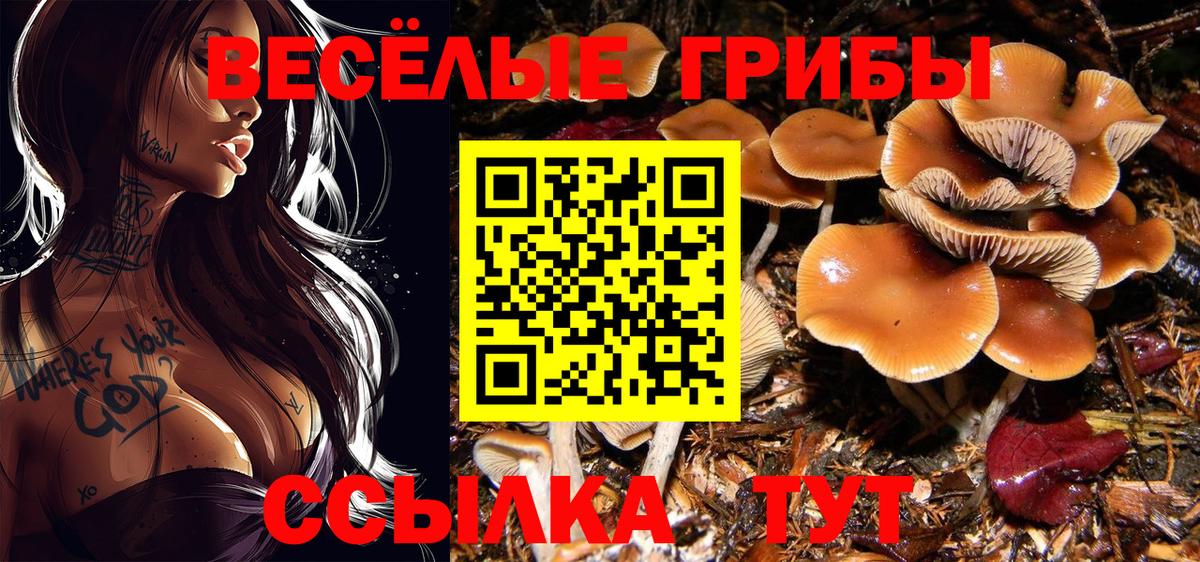 Избербаш  Псилоцибиновые грибы прущие грибы  Вход с VPN 