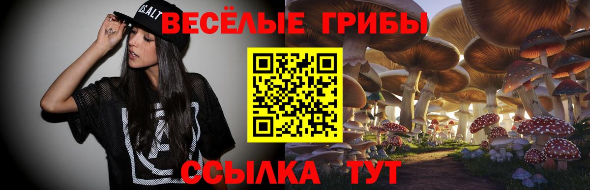 Галлюциногенные грибы мухоморы Избербаш